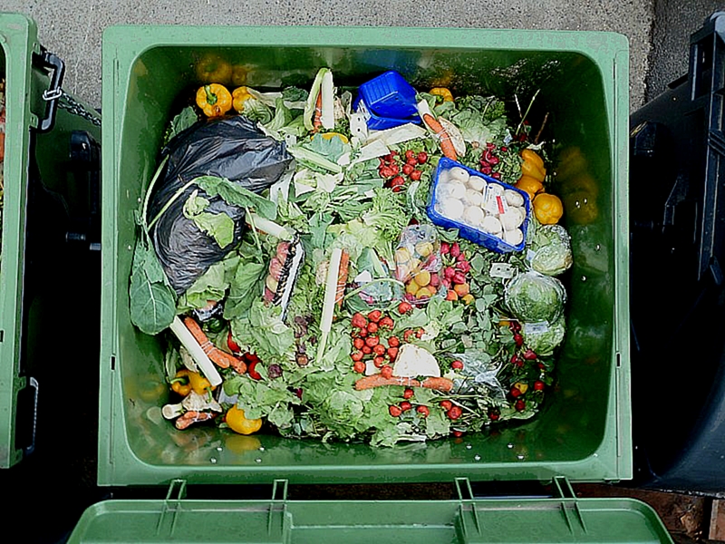 800px-Treasure_trove_of_wasted_food